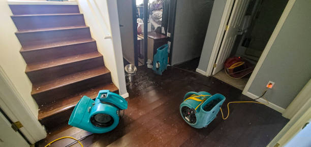 Best Carpet water damage restoration  in Manorhaven, NY