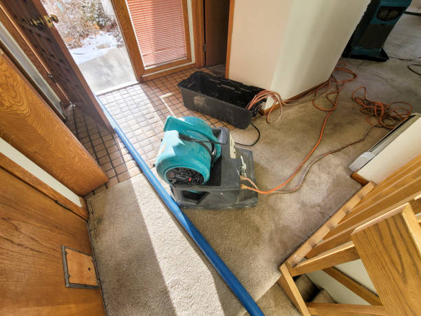 Best Flood restoration services  in Manorhaven, NY