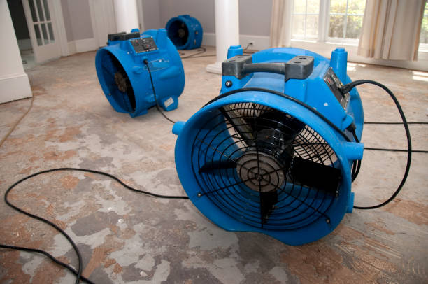 Best Flood damage cleanup  in Manorhaven, NY