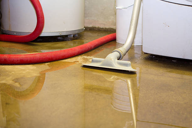 Best Ceiling water damage repair  in Manorhaven, NY