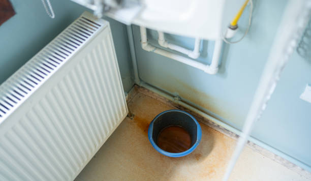 Best Basement water damage restoration  in Manorhaven, NY