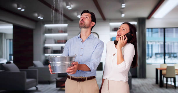 Best Mold removal after water damage  in Manorhaven, NY