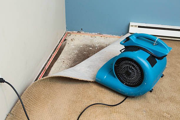 Best Carpet water damage restoration  in Manorhaven, NY